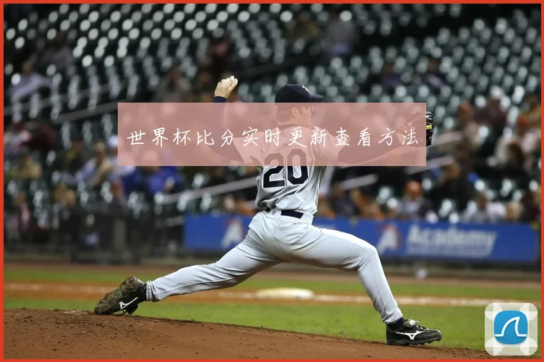 世界杯比分实时更新查看方法