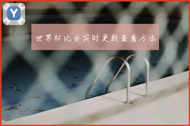 世界杯比分实时更新查看方法